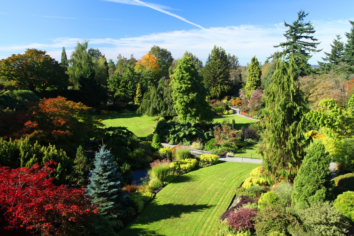 large park with beautiful trees