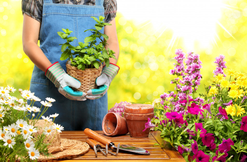 person gardening