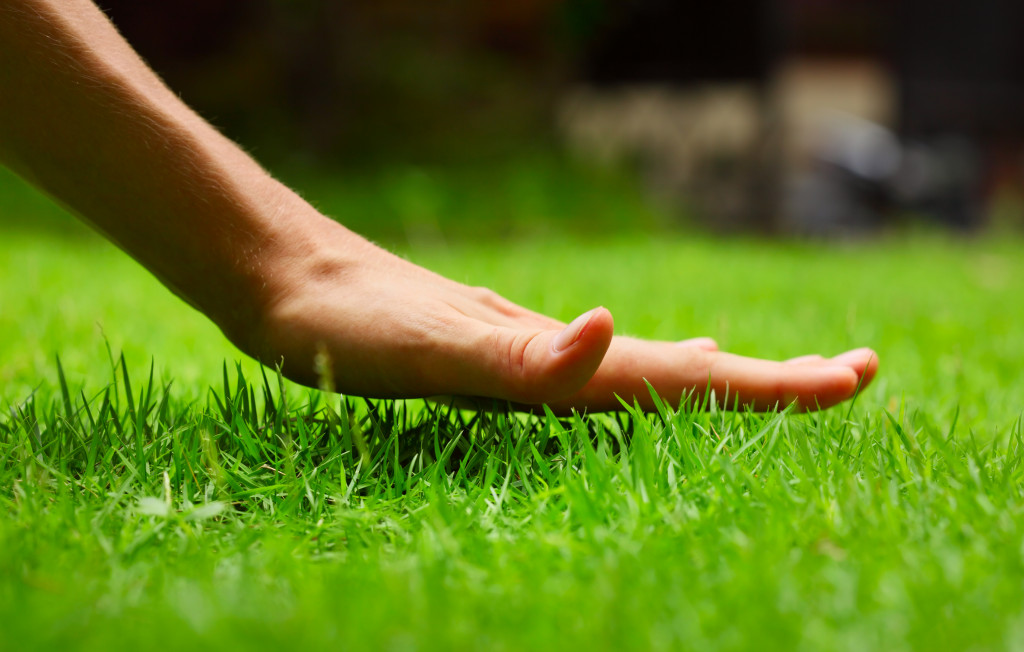 person touching grass