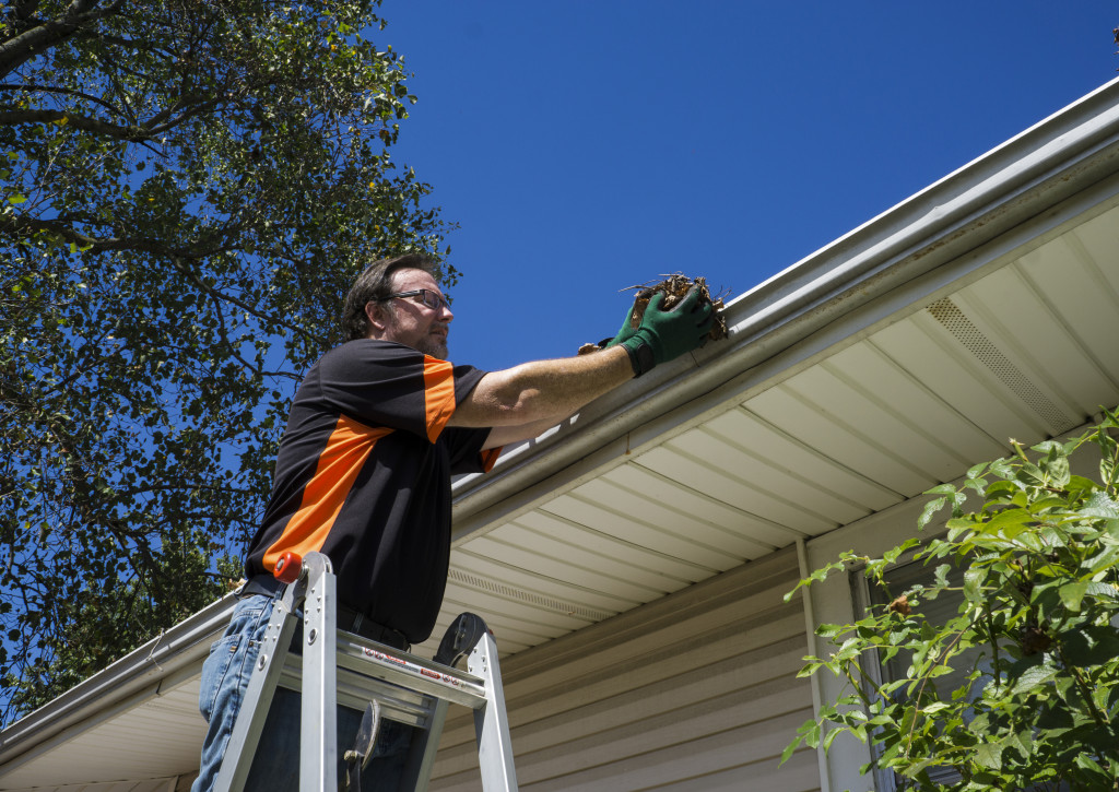 Head of the family removing debris from the roof gutter.