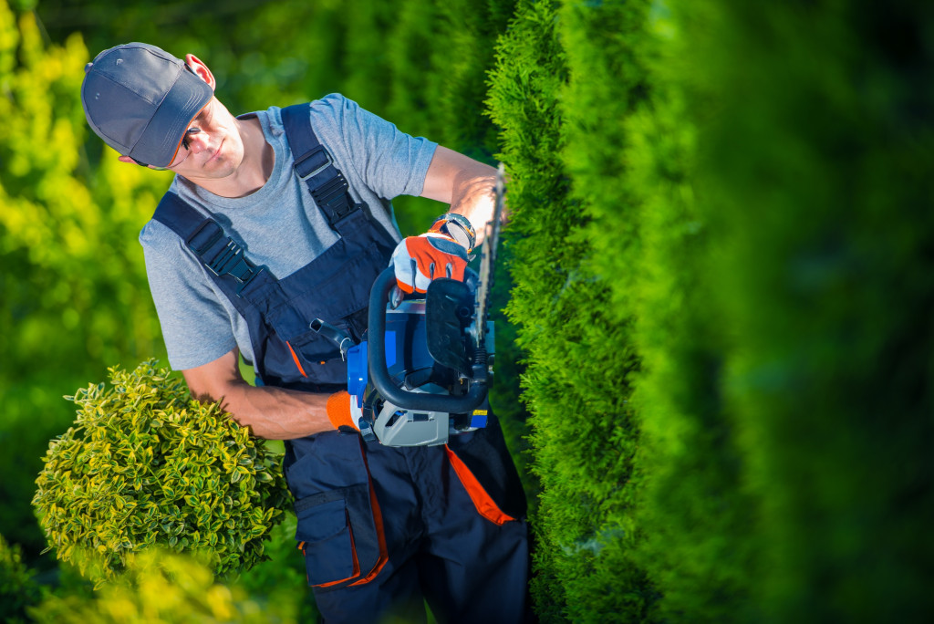 A gardener trimming hedges using a hedge trimmer