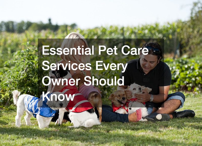 Essential Pet Care Services Every Owner Should Know