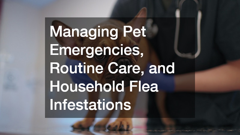 Managing Pet Emergencies, Routine Care, and Household Flea Infestations