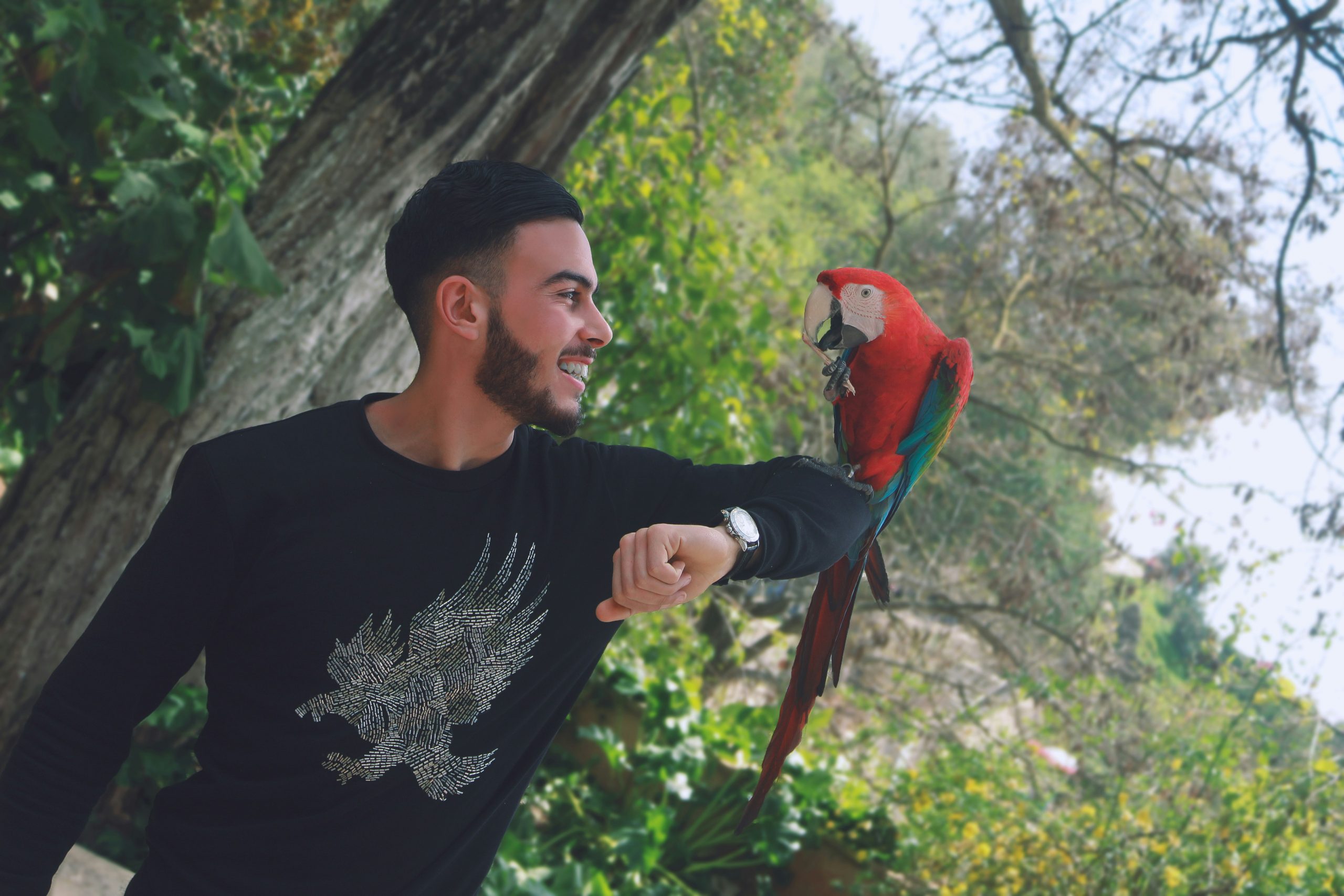 parrot perching on a man's arm