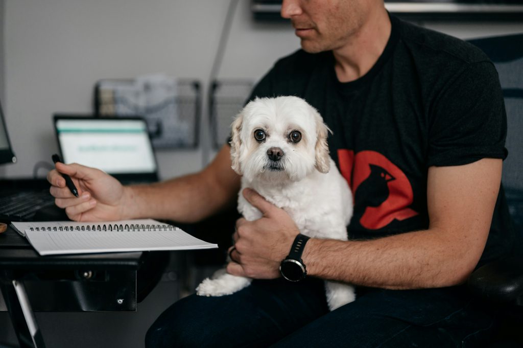 busy man with a white dog on his lap