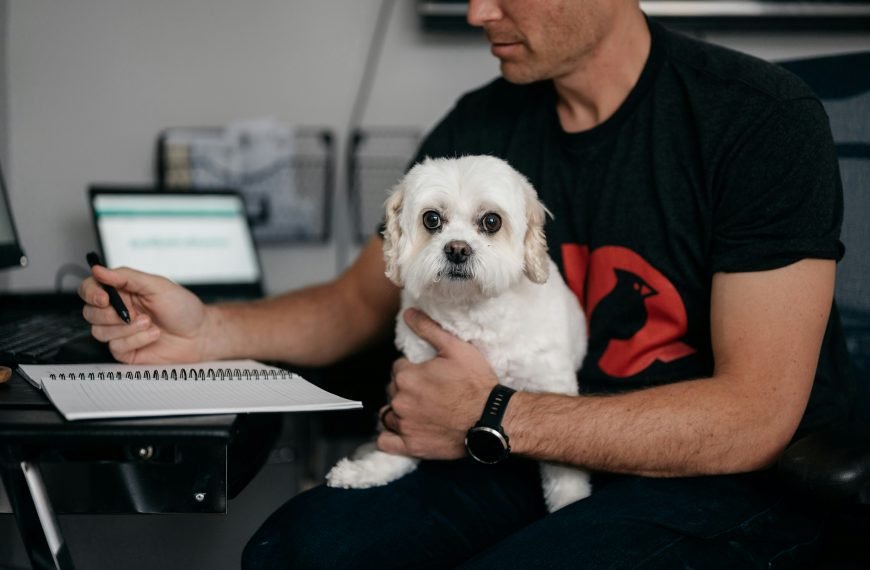 busy man with a white dog on his lap