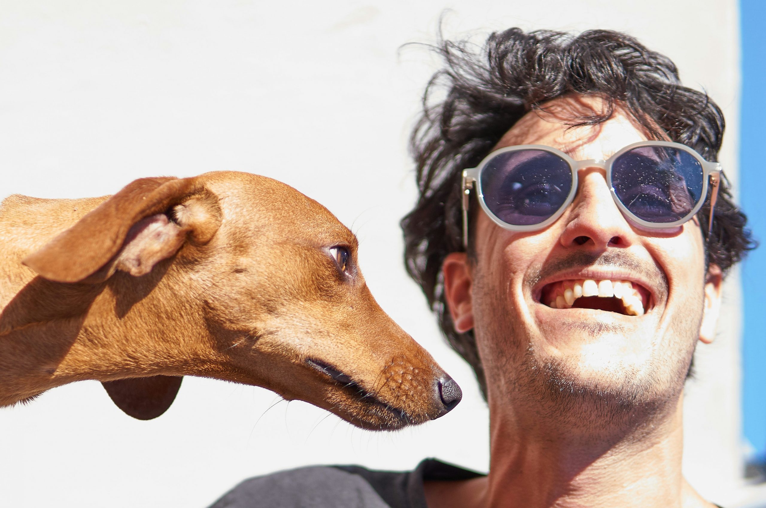 smiling man wearing sunglasses with his dog next to him