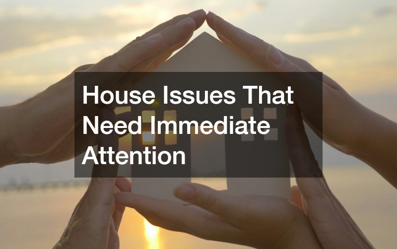 House Issues That Need Immediate Attention